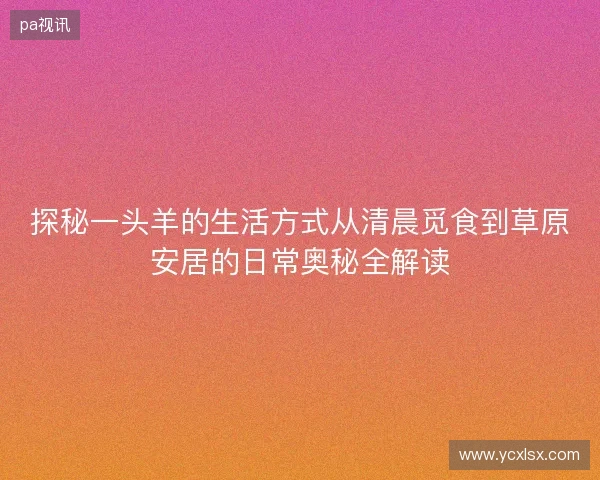 探秘一头羊的生活方式从清晨觅食到草原安居的日常奥秘全解读 探秘一头羊的生活方式从清晨觅食到草原安居的日常奥秘全解读